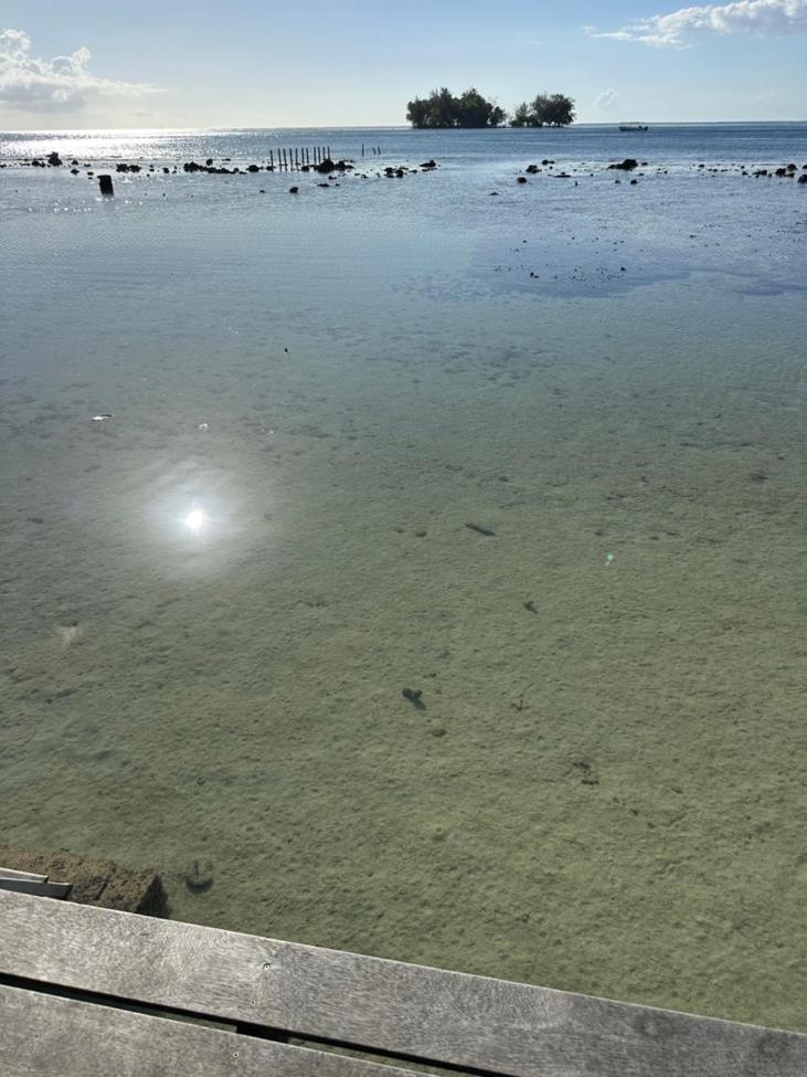 Villa Miri Miri - Bord De Mer Prive Tevaitoa エクステリア 写真